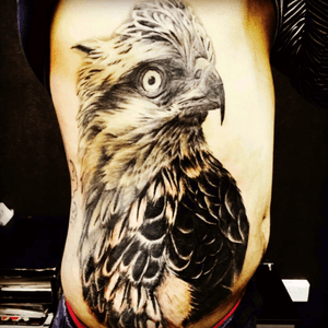 Nicely done of an hawk, @tattooalley.sg By Artist: Tomi Lee