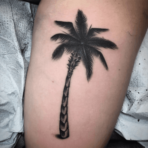 Drawn on palm tree. Florida style!