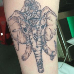 🐘done in Derby England 
