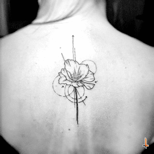Nº300 #tattoo #tatuaje #ink #inked #backtattoo #flower #flowertattoo #poppy #poppyflower #geometry #lines #circles #bylazlodasilva Designed by other artist