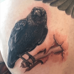 Raven on a branch tattoo #raven #tree 