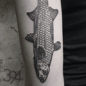 Hieronymus dóch tattoo #linework #lineworktattoo #fish #fineline #animal #HieronymusDóch #hd #394