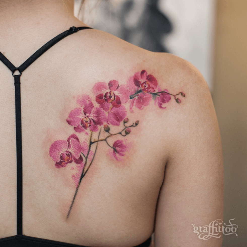 Orchid tattoo Tattoo designs Tattoo designs and meanings