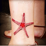 #lizvenom #starfish #fish #animals #ocean 