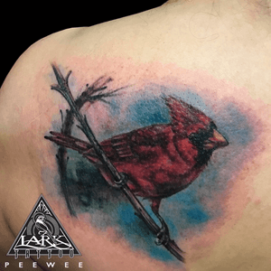 Tattoo by Lark Tattoo artist PeeWee. See more of PeeWee's work here: http://www.larktattoo.com/long-island-team-homepage/peewee/ . . . . . #colortattoo #bird #birdtattoo #cardinal #cardinaltattoo #animaltattoo #nature #naturetattoo #tattoo #tattoos #tat #tats #tatts #tatted #tattedup #tattoist #tattooed #inked #inkedup #ink #tattoooftheday #amazingink #bodyart #tattooig #tattoosofinstagram #instatats #larktattoo #larktattoos #larktattoowestbury #westbury #longisland #NY #NewYork #usa #art #peewee #peeweetattoo