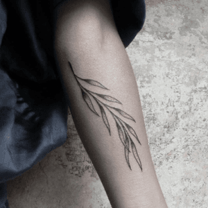 Hieronymus Dóch tattoo #leaf #dotwork #dotworktattoo #plant #HieronymusDóch #hd #394