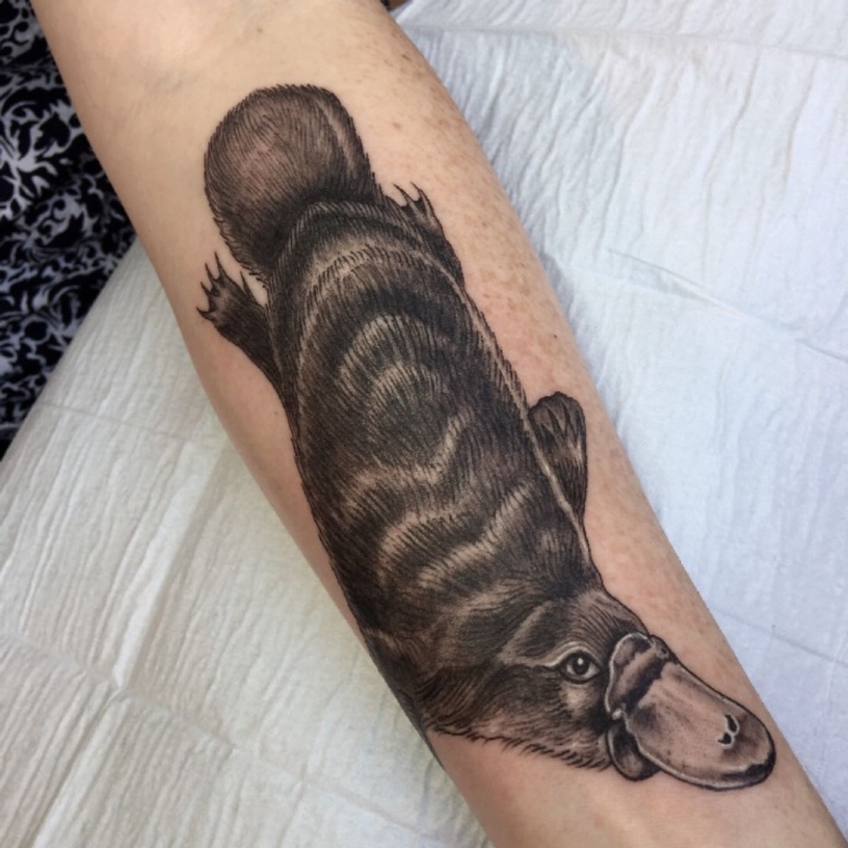 Tattoo uploaded by Emma Griffiths • Duck billed platypus. • Tattoodo