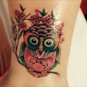 Owl coverup