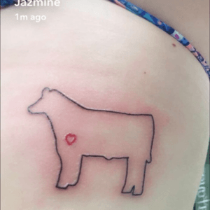 My first tattoo right as it was finished !  Ive been showing steers for years and for many more to come !