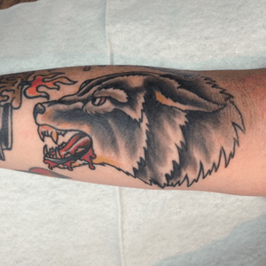 JD Crowe wolf head for a good friend of mine. #traditional #traditionaltattoo #traditionaltattooflash 