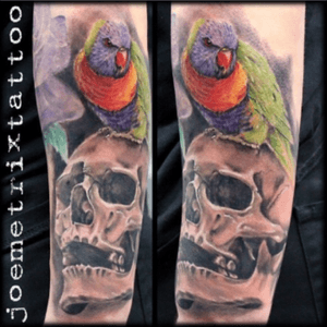 #skull in #blackandgrey with a #color #lorikeet #bird #parrot - #tattoo by #artist #JoeMetrix @joemetrixtattoo 