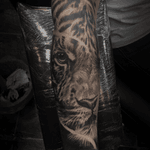 Part 1 @radiantcolorsink #radiantcolorsink #radiantcolors #tiger #inprogress @h2oceanaftercare @fkirons #fkirons #blackandwhitetattoo #blackandwhite #inkfreakz #tattoofreakz #tattooed #tattoos #tattooart #tattoostyle #tattoolove #tattooist #inked #ink #inklife #inksav #tattooman #sullenrussia #sullenartcollective #istanbul 