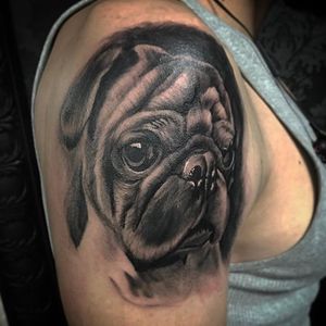 Doug the pug done tonight #austin #texas #blackandgrey #pug #pugs #dog #portraits