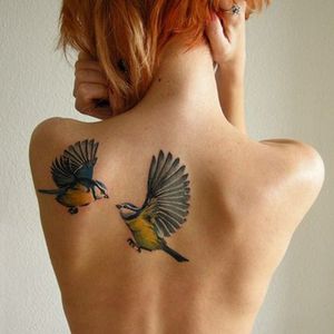 #bird #wings #back #animal