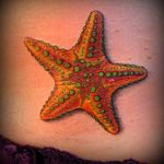 Check out this tattoo by #EricRignall. #Starfish #sea #InkstopTattoo #Inkstop #NewYork #NewYorkCity #NYC 