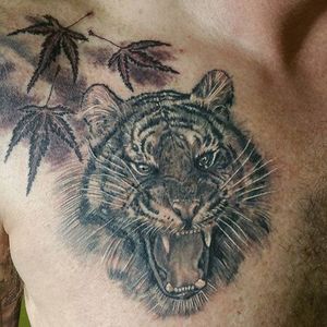 Tiger by Steve Gagliano #stevegagliano #tormentedsouls #tiger #tigertattoo #blackandgrey #ny