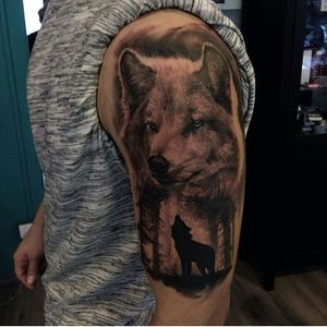 By Tolik #wolf #animal #blackandgrey
