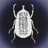  Metamorphosis Tattoo