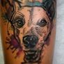 Dogs Tattoo - Estúdio Privado de Tatuagem. Agende seu horário In-Box.