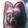 Werewolfe Tattoo