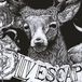 Oliv. escape art & tattoo