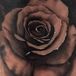 Bruno Ferrez Tattoo