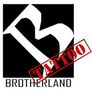 Brotherland Tattoo Studio