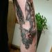 kaotik skin kreationz