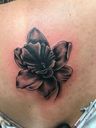 Royal Tattoo