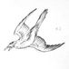 墨鴉紋身Arz Crow Tattoo