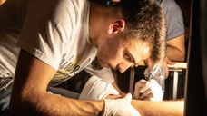 Esteves Tattoo