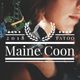Maine Coon Tattoo