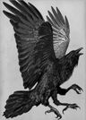 Black Karma