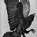 Black Karma