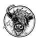 Jumpink Cow Productions