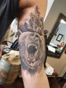 Andrew Rapp