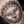 Koko-Loko Tattoo en Piercing