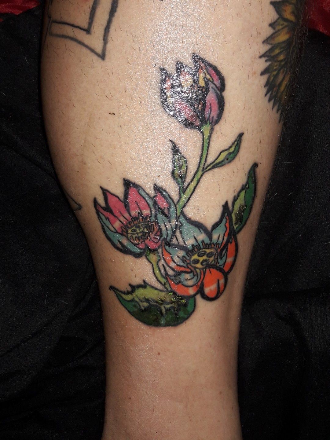 Pinz And Needlez Ink • Tattoo Studio • Tattoodo