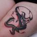 koa tattoo / olivier cramm