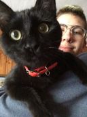 Gionatan De Cato