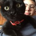 Gionatan De Cato