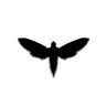 Nigrum Papilio