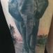 Chris Beardsley