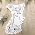 Laura birds