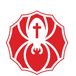 Spider Tattoo