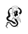 Devon Smith
