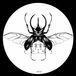 INSECT INK 