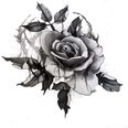 Yolan