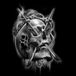 Calavera17s
