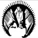 avantgarde tattoo collective